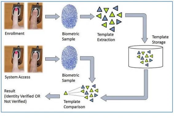 Biometric Capture and Verification service image 1